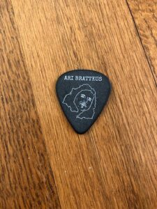 1.18mm D'Addario Pick